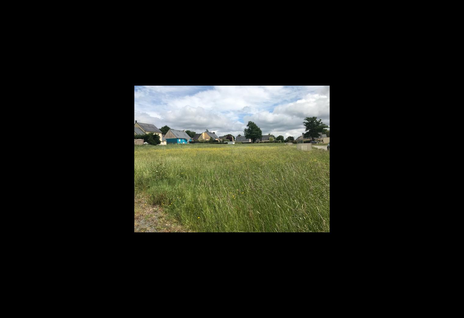 18bdd32d-c196-4f13-a7de-f05b70a11e22.jpg