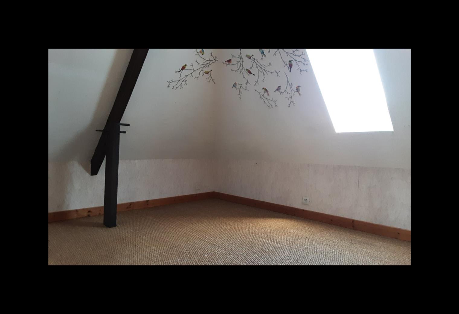 bed25442-9341-474c-9e90-ee7b6b101308.jpg