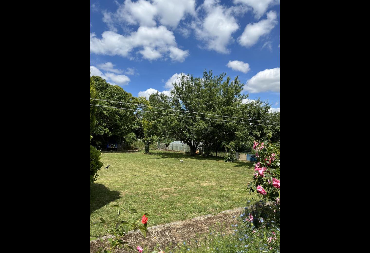 43a175f9-1483-46eb-8ef1-bdc1a6ca17f3.jpg