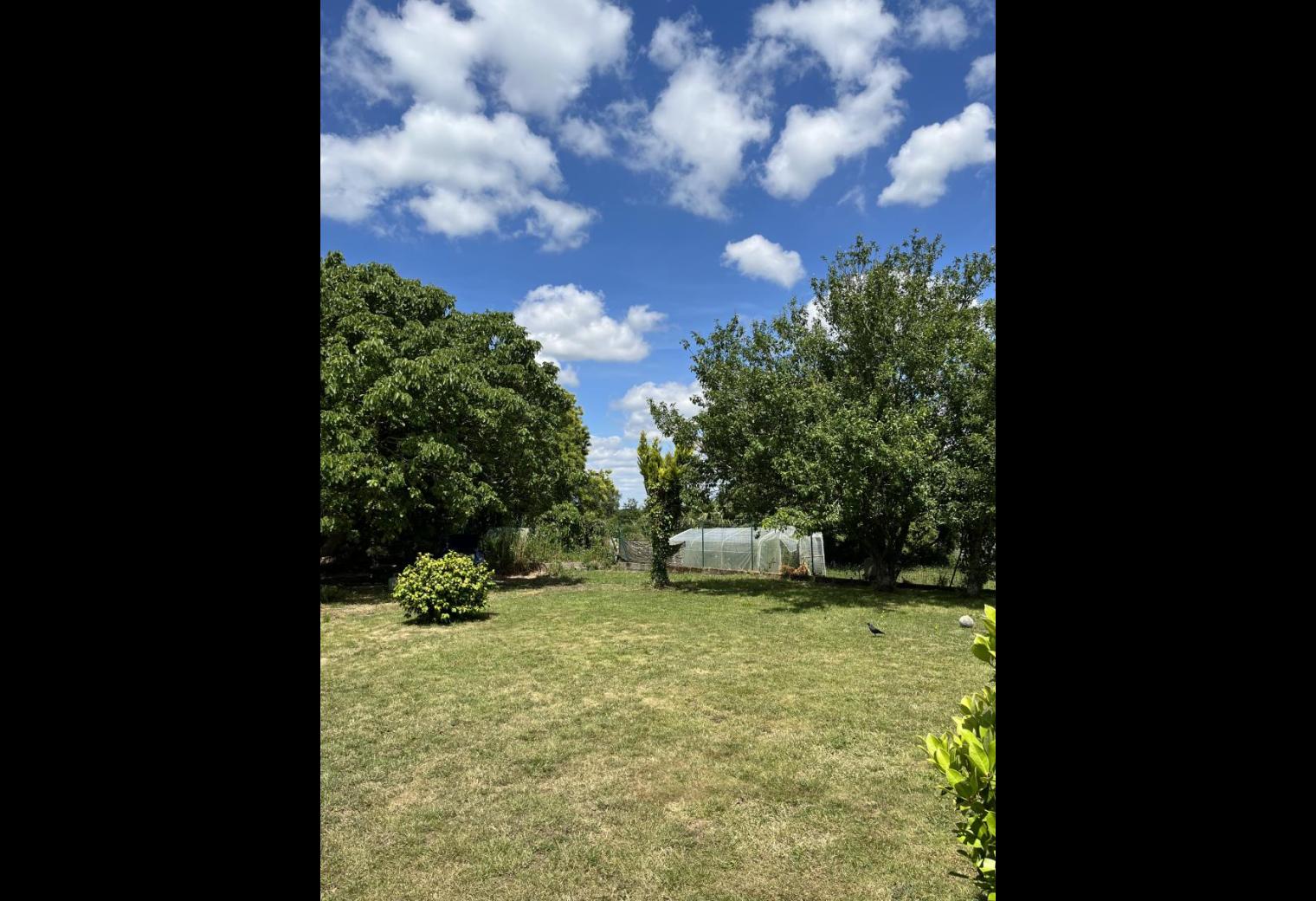 c0d16b4f-8449-4f35-becd-3a710ac2aad6.jpg