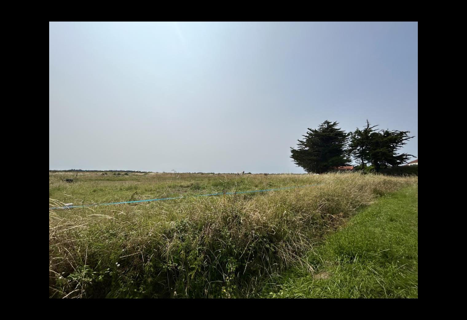 a6f675d6-ca62-492d-8448-2600b5799fb3.jpg