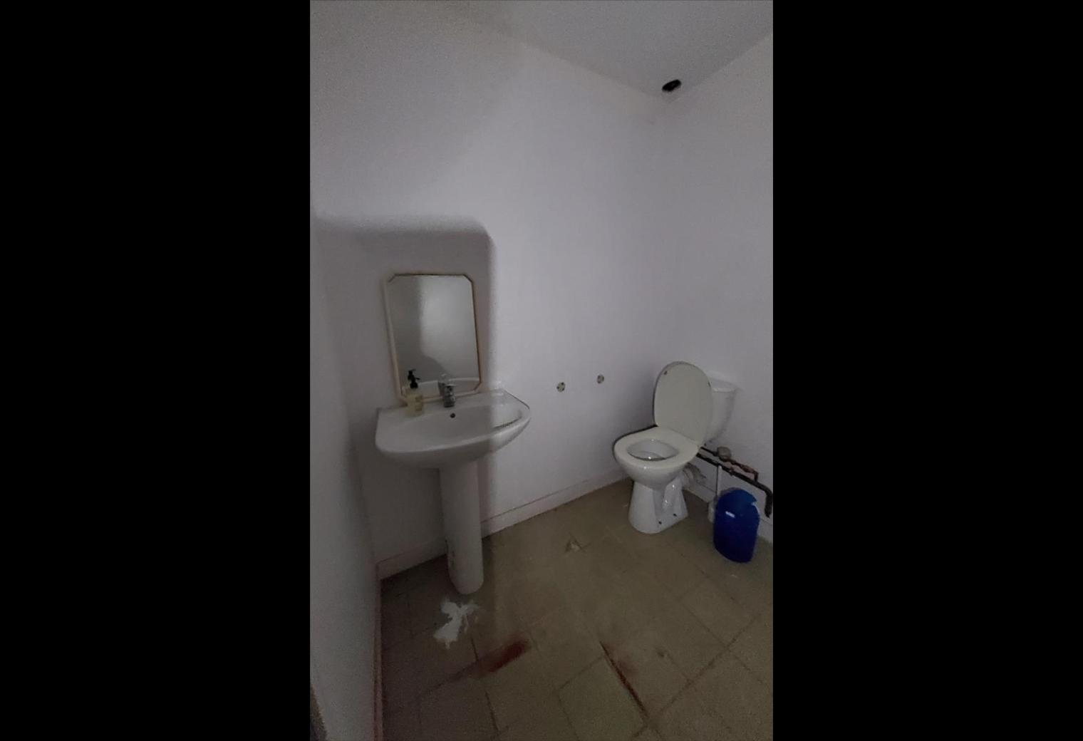 6f58619f-ad72-4ee0-8dcb-c6df4fed9be4.jpg