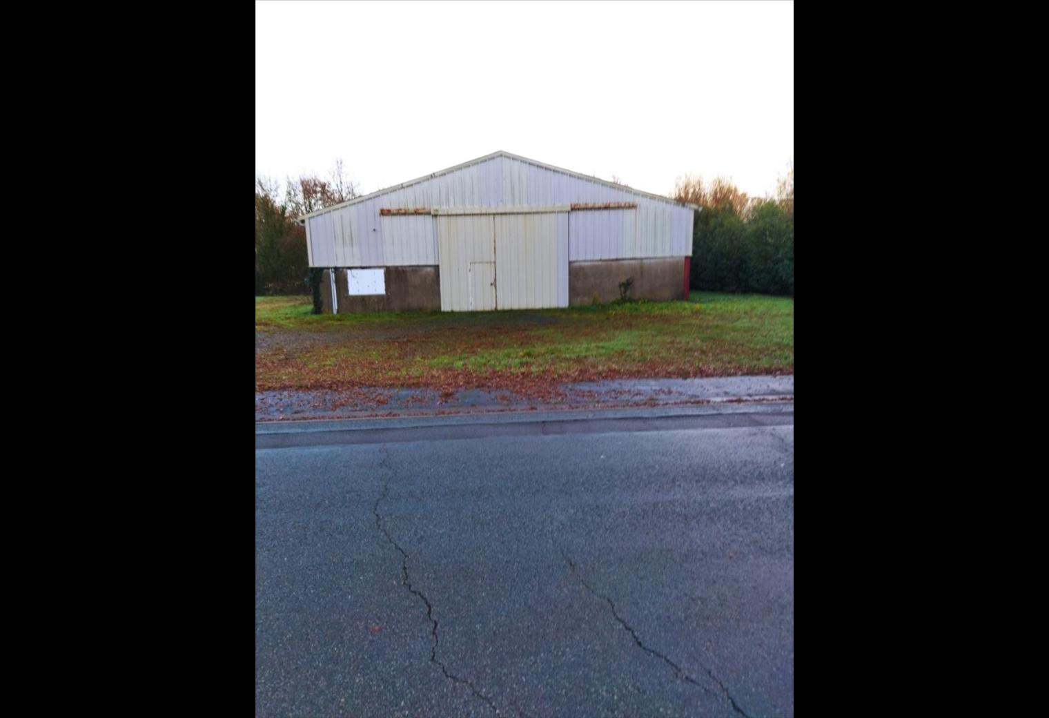 310c7d2c-0099-4064-9536-9123dcf7dca6.jpg