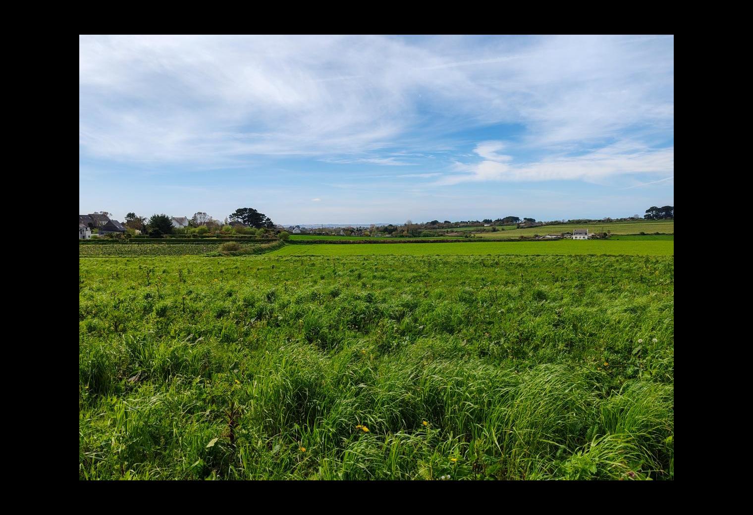 b16556bc-a3b4-4425-93f6-681899ef3be3.jpg