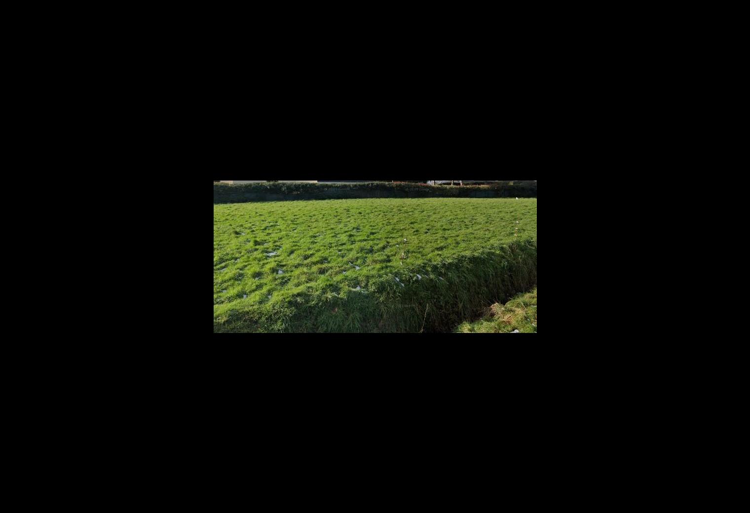 d747e3de-5d6d-4d26-9e43-039b98c0b81e.jpg