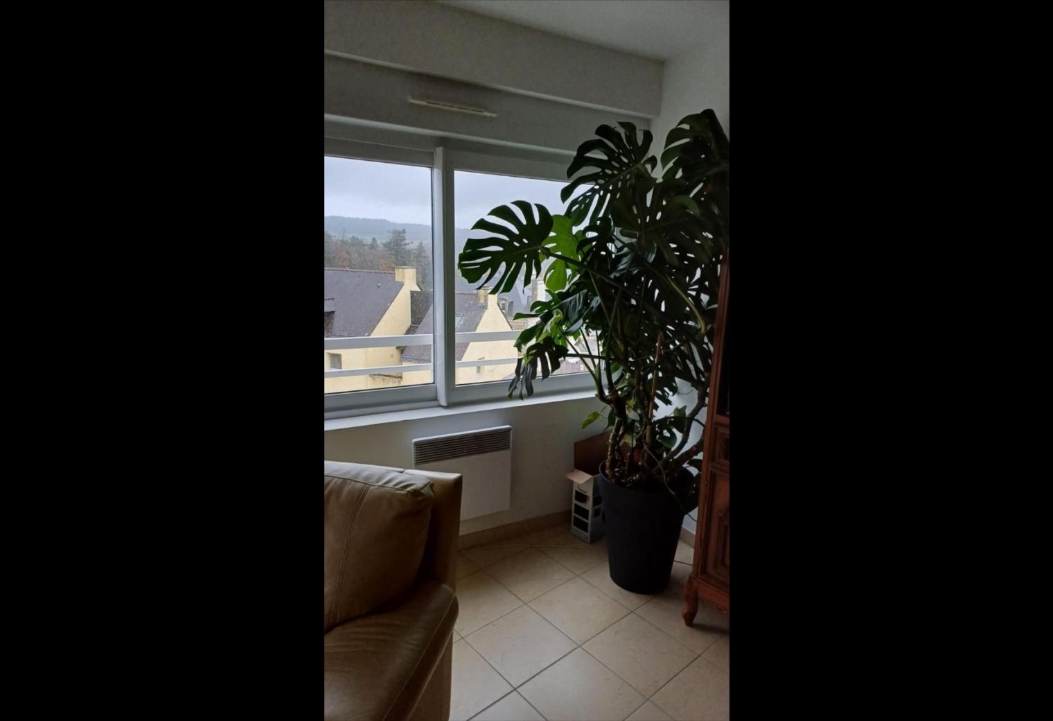 ada1ac19-51b2-4b6d-a6ef-fff515713eb8.jpg
