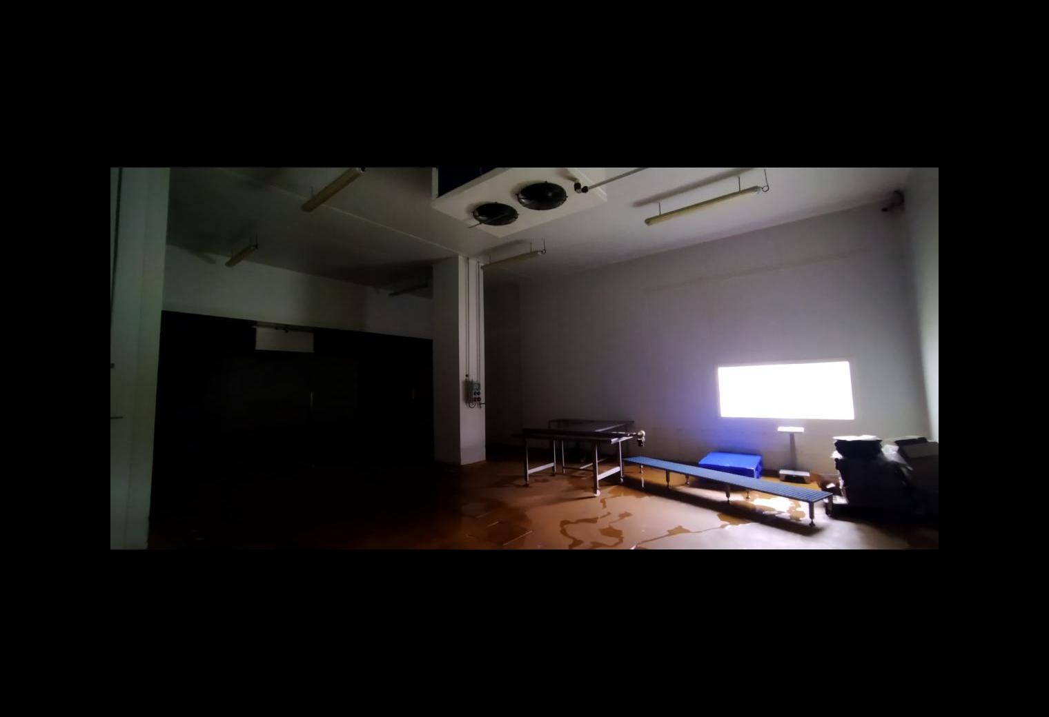 3d422afb-219d-4150-9152-d7d032304431.jpg