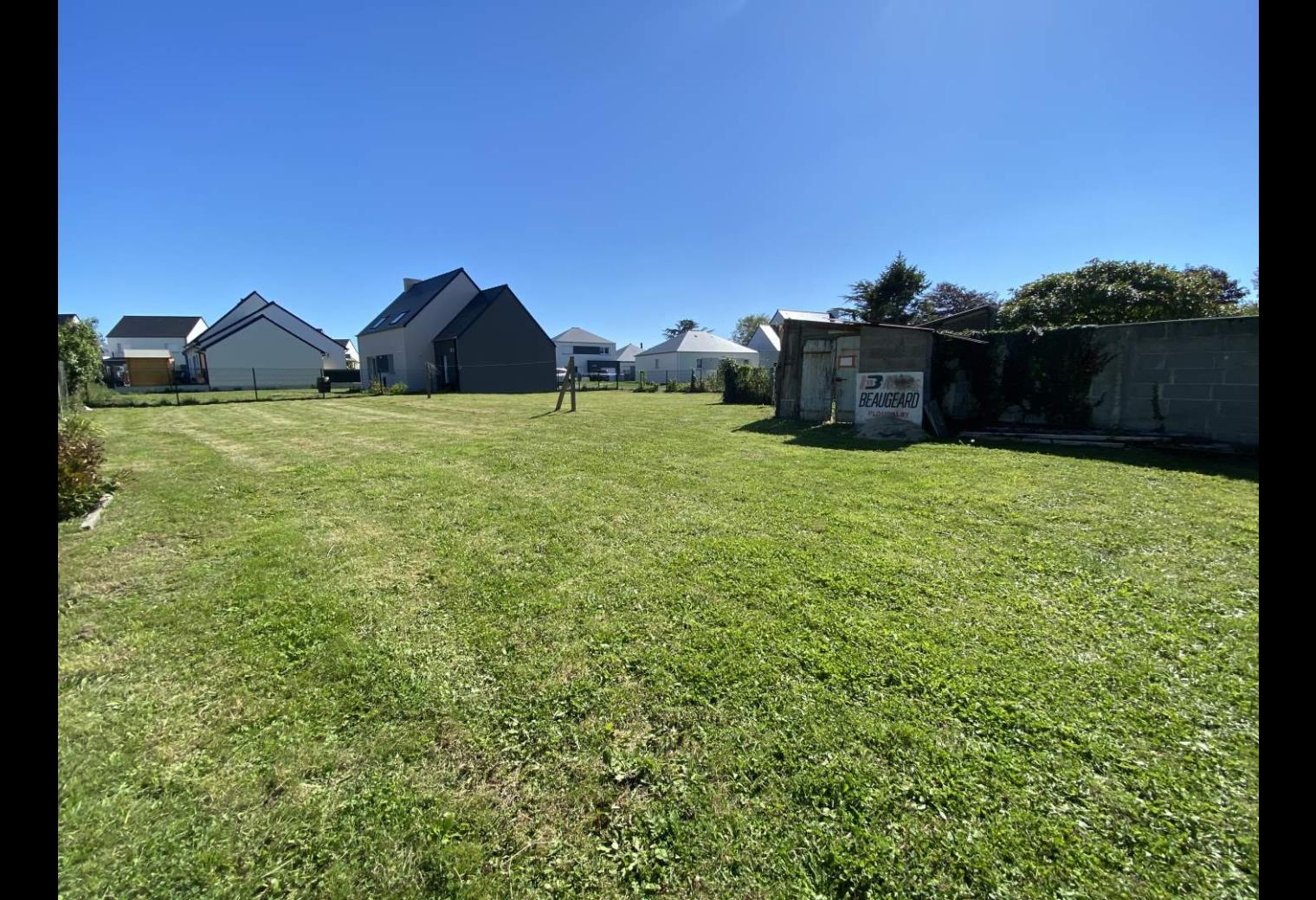89b37843-5406-4028-bd85-d9a6ac6c0aa1.jpg