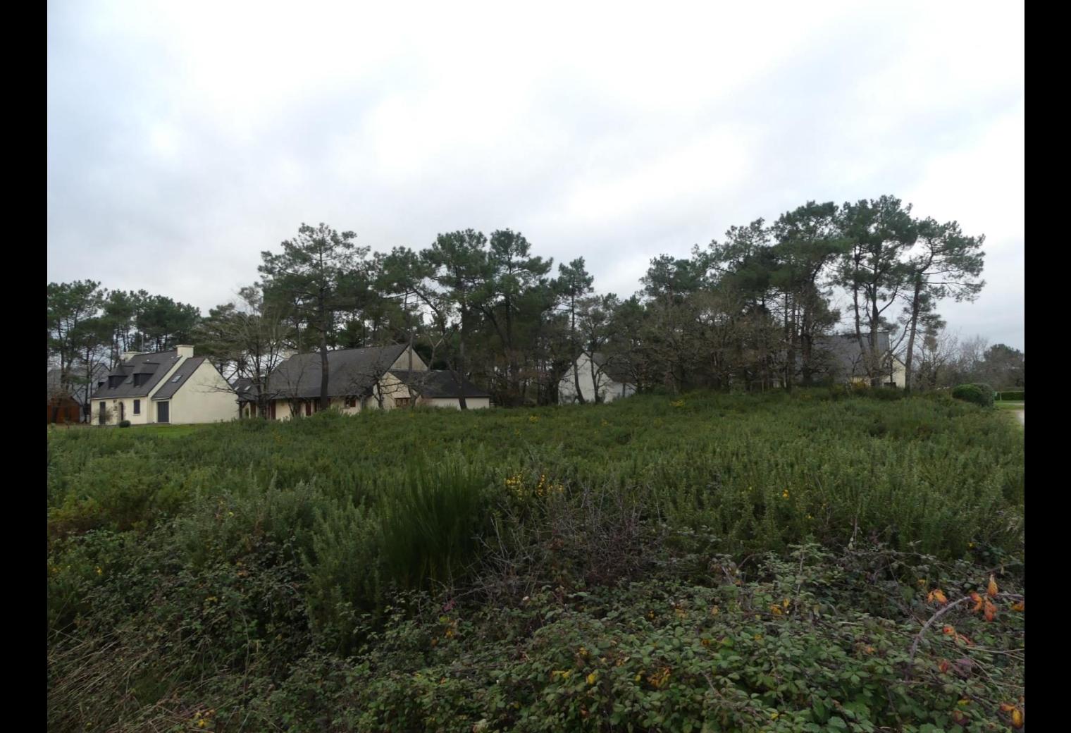 cbca7c79-97b3-40cd-aadd-7499cadfe54a.jpg