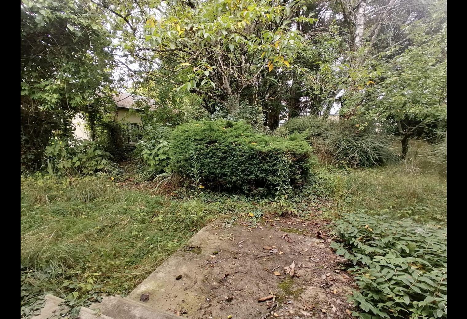 7efc4761-d1d6-46ef-bedd-a4f81fdc04e1.jpg