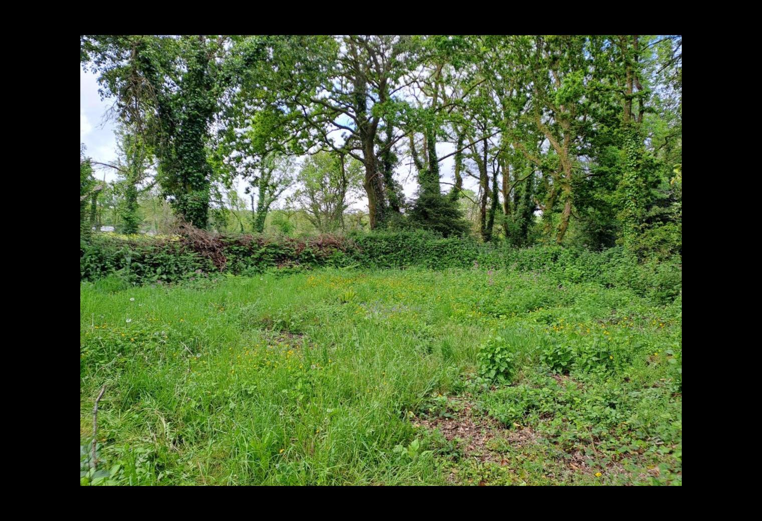 30001d63-0a15-4b73-aec1-2602ff36d6aa.jpg