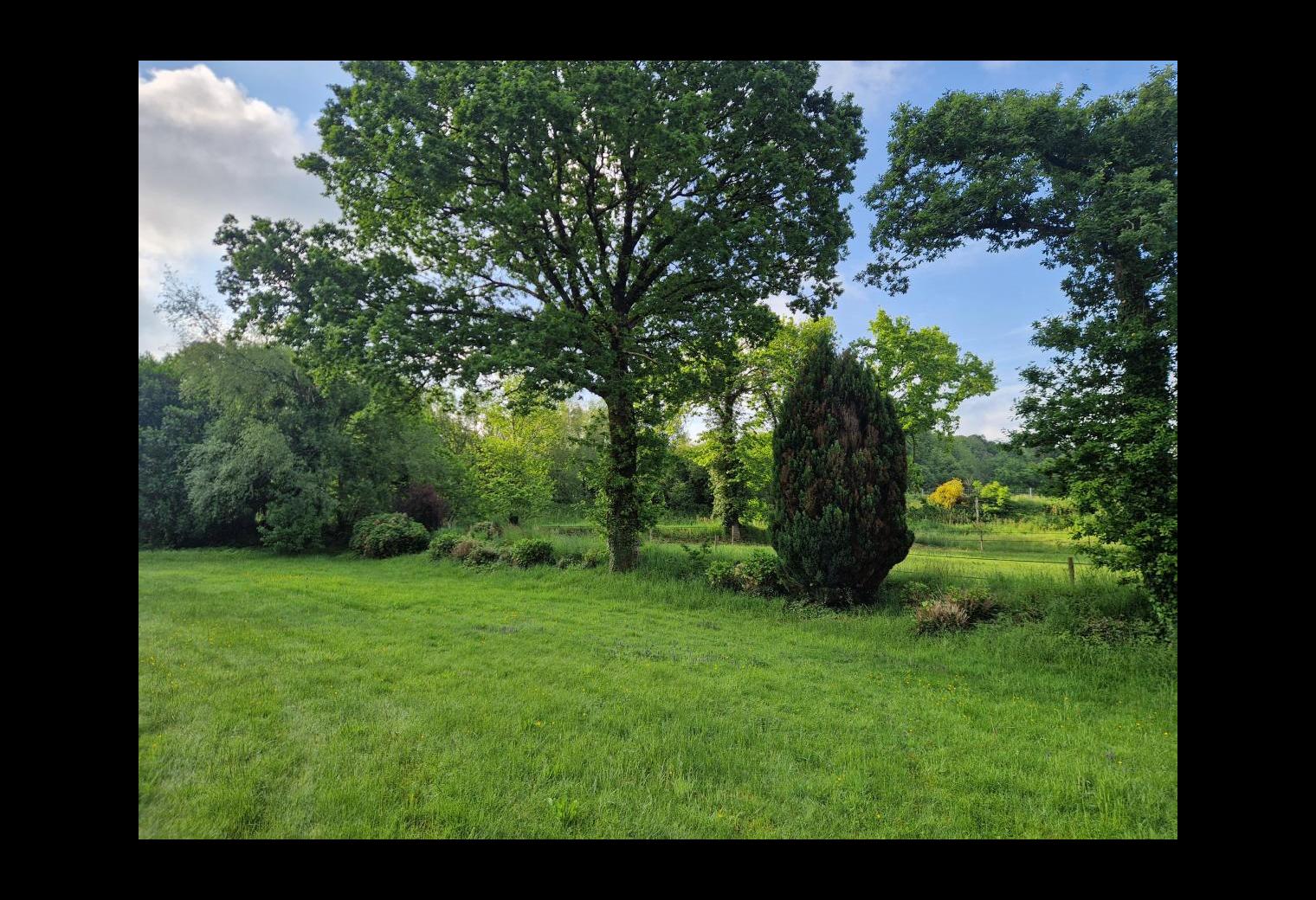 ef887549-7b40-42c2-ad67-ae69c71c35b4.jpg
