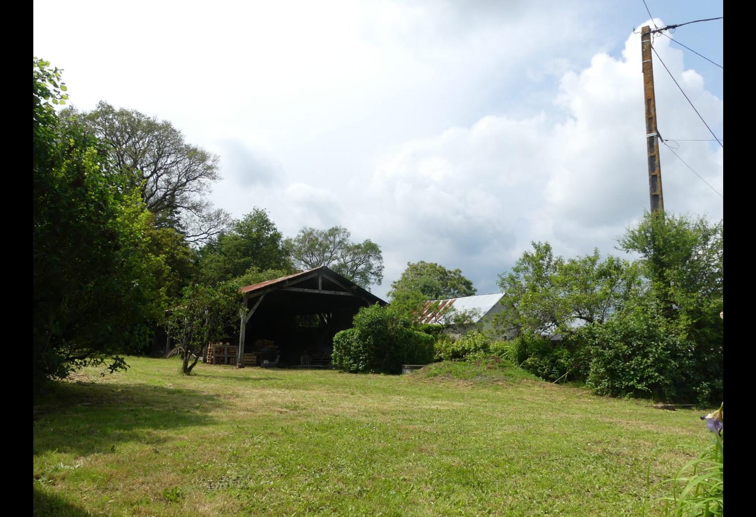 ad8ff593-9192-4e51-8e36-2c17e8eb147a.jpg