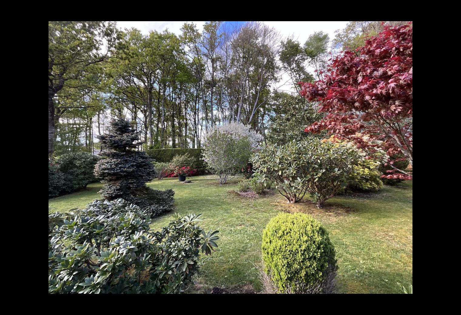4d018566-1086-4742-83d8-661c3e5e946a.jpg