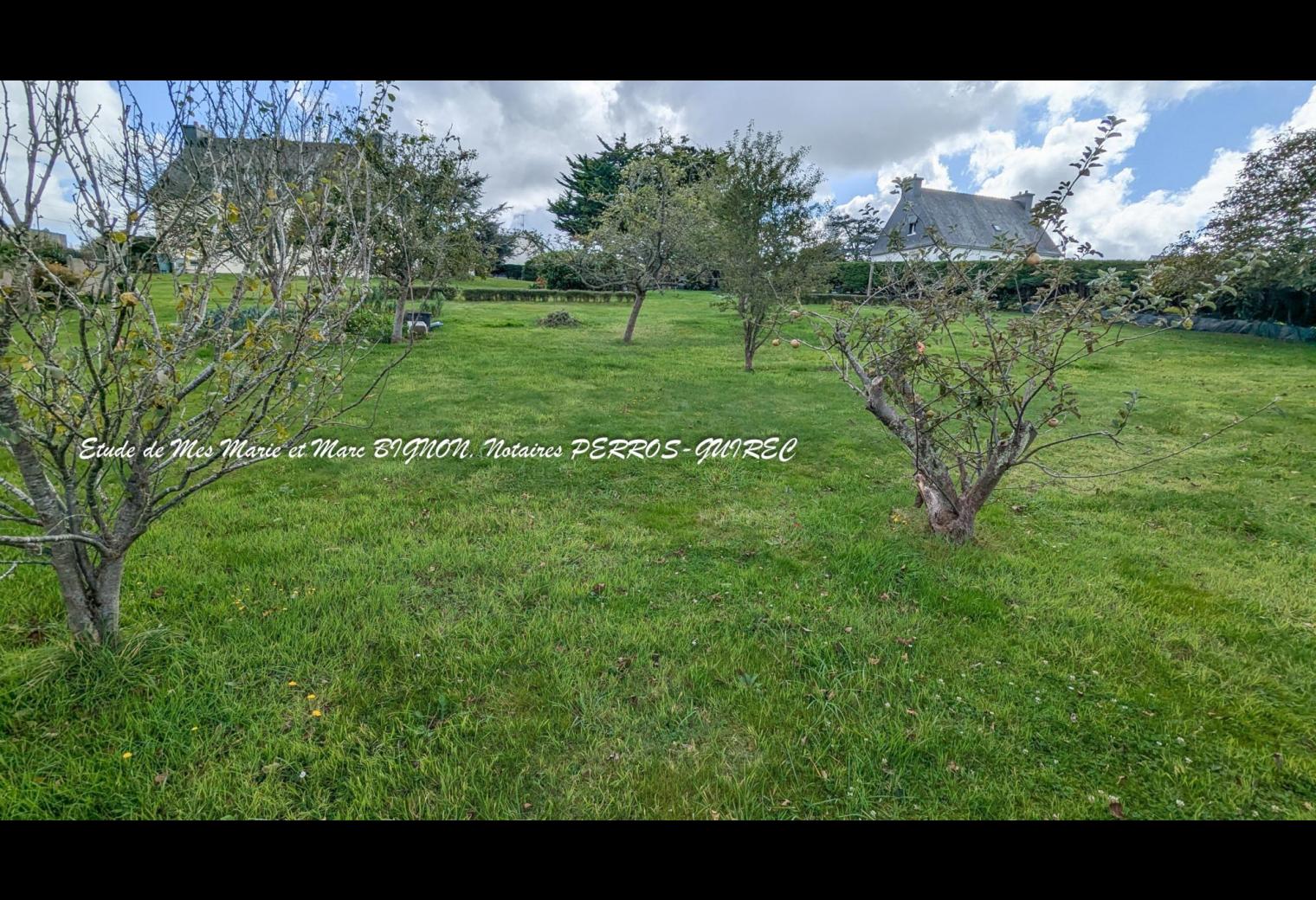 e7fdb26f-1d9a-4cc5-86a5-7517739c528f.jpg