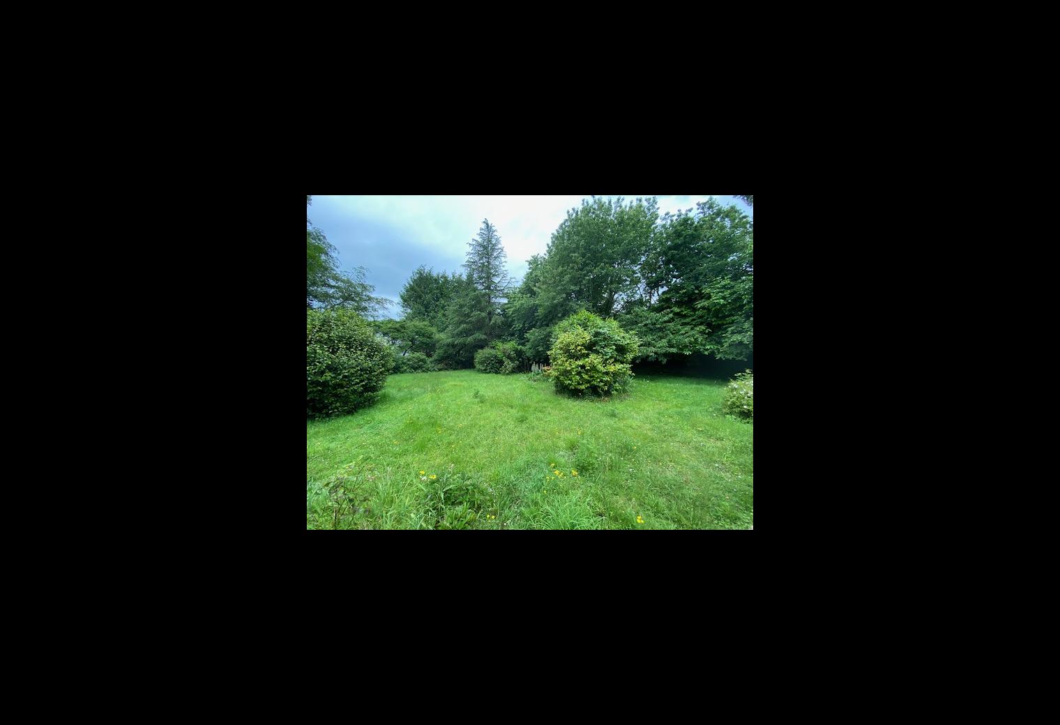 9462d816-3b92-48ab-8ab8-8f2a8eccd30c.jpg