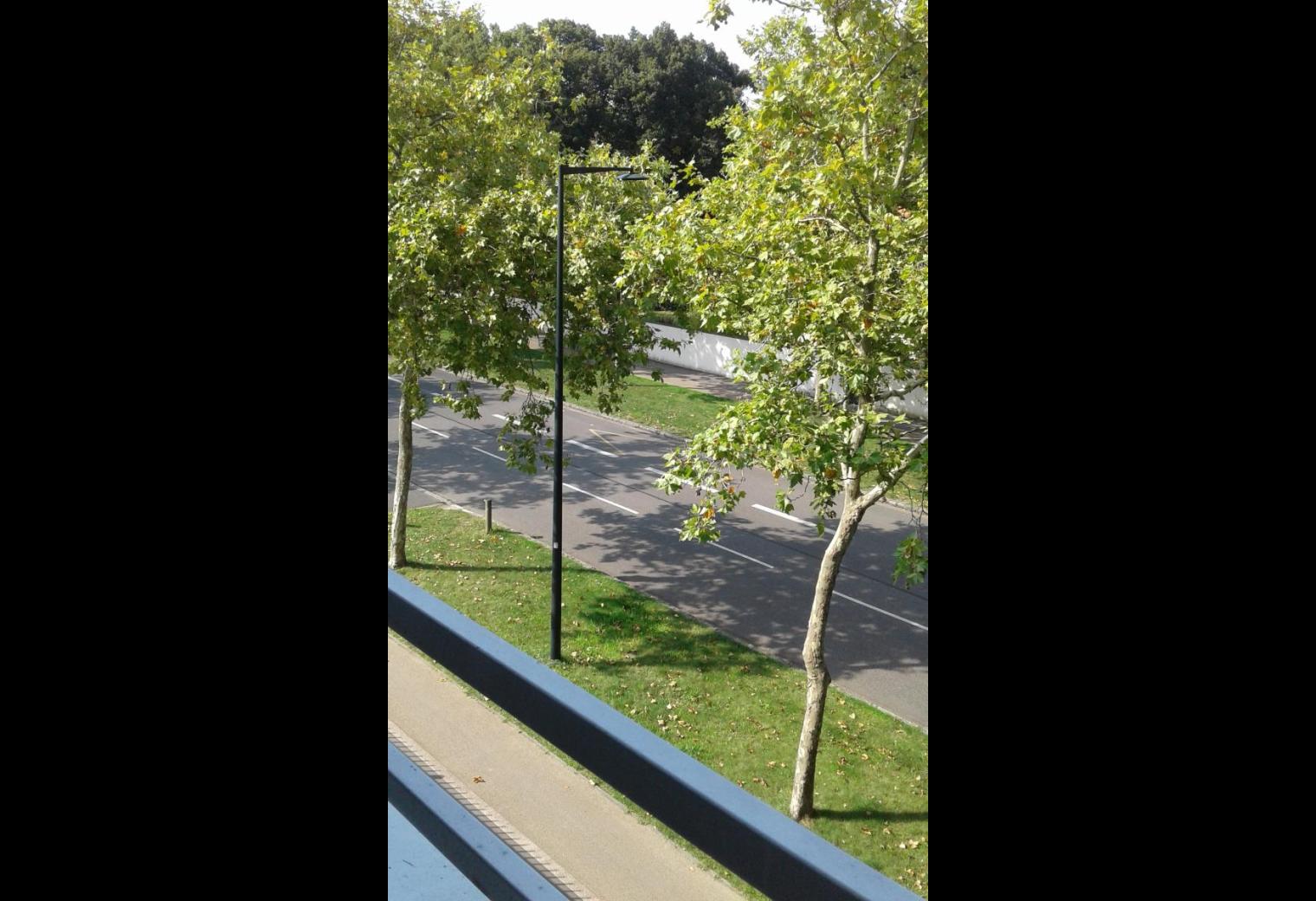 e9d054cd-3944-4dcc-8e26-c5efe3d3e7d9.jpg