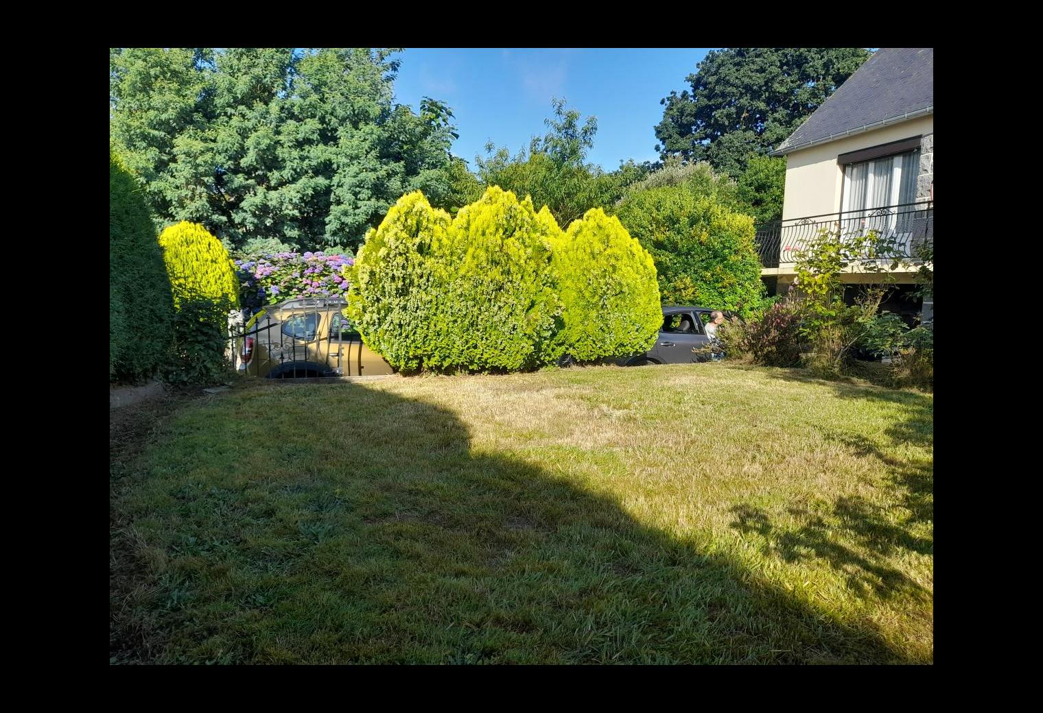 76076f14-9649-4163-8ff8-4740646fde7a.jpg