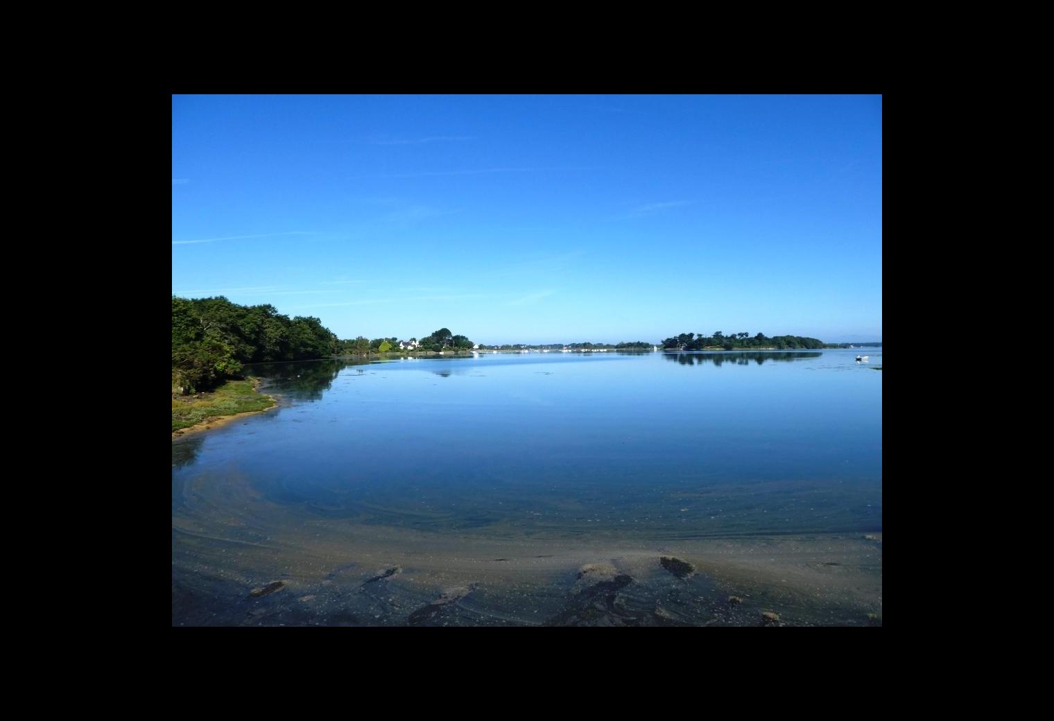 d142f743-514b-4b72-bfea-e27057e1dd7a.jpg