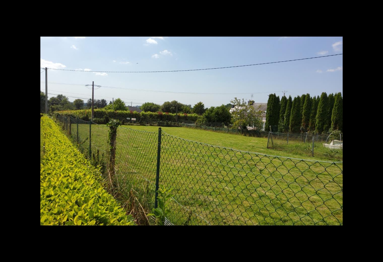 db49a44d-2c34-42e7-b0e9-9225ca112c48.jpg