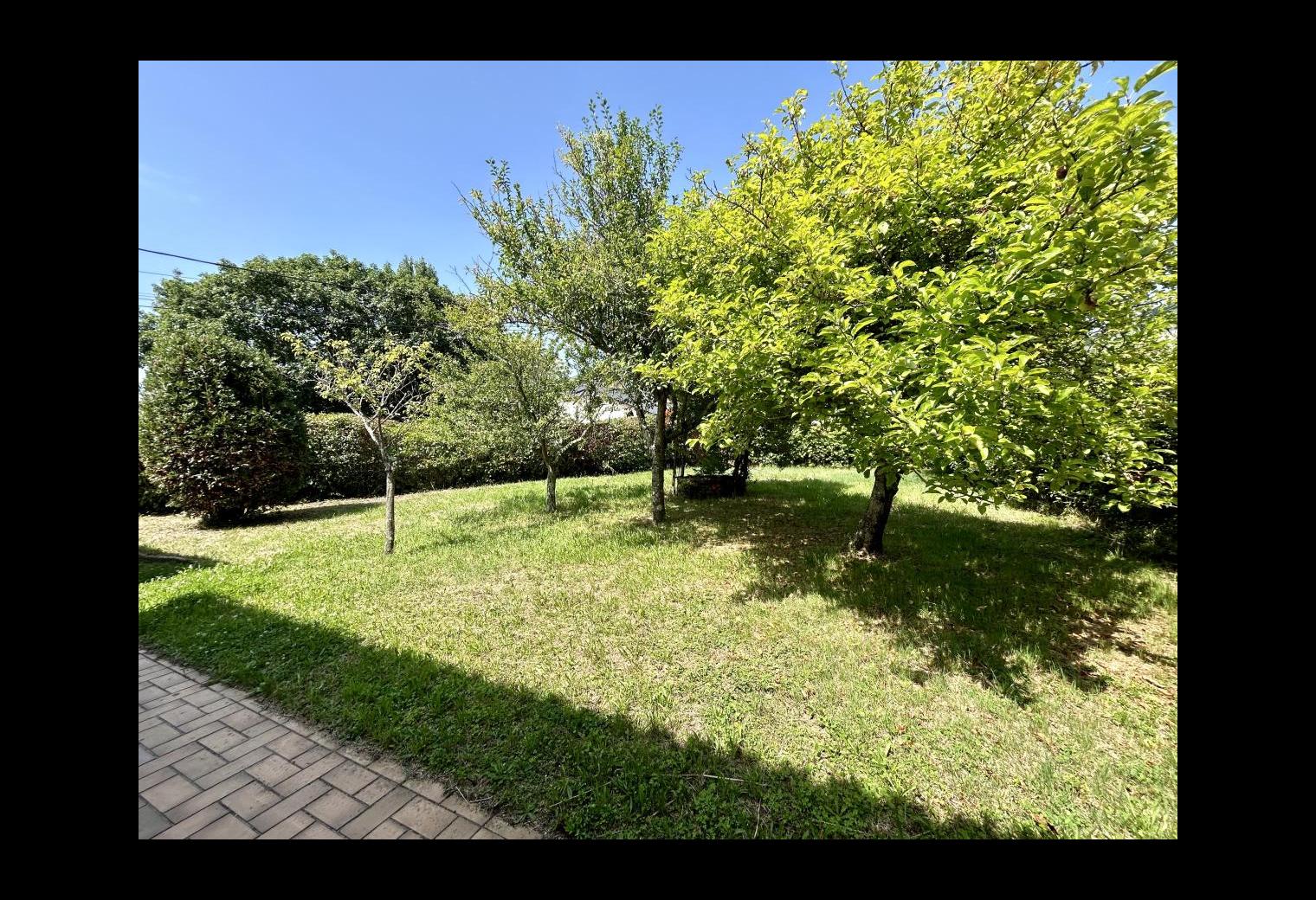 42ddb4f9-5b9d-4553-96e7-2965f4214e19.jpg