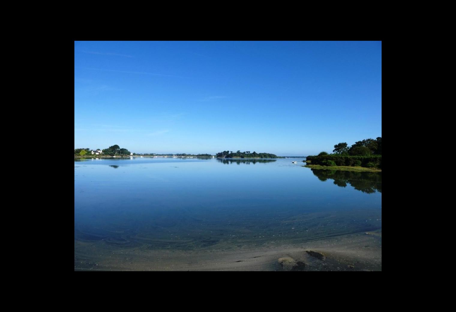 0a3d6ab2-60f1-4c4a-8a0d-e20f8a7a6ff5.jpg