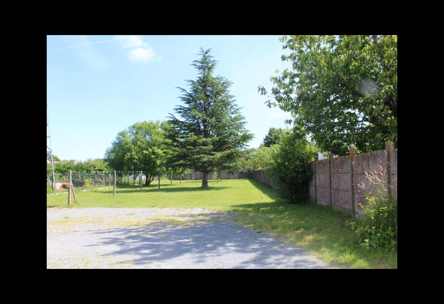 175ec414-d893-4b95-9462-f0be5ddc2d8d.jpg
