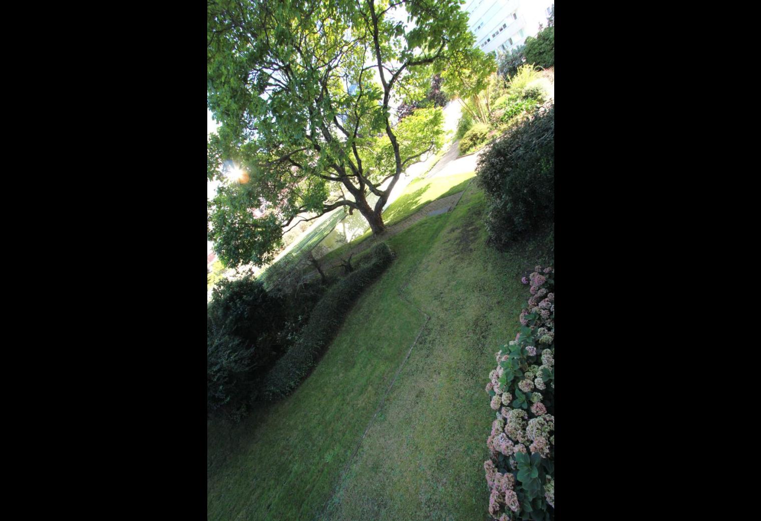 dc8ca188-ffd6-4f19-a5e9-05df69d0b5b3.jpg