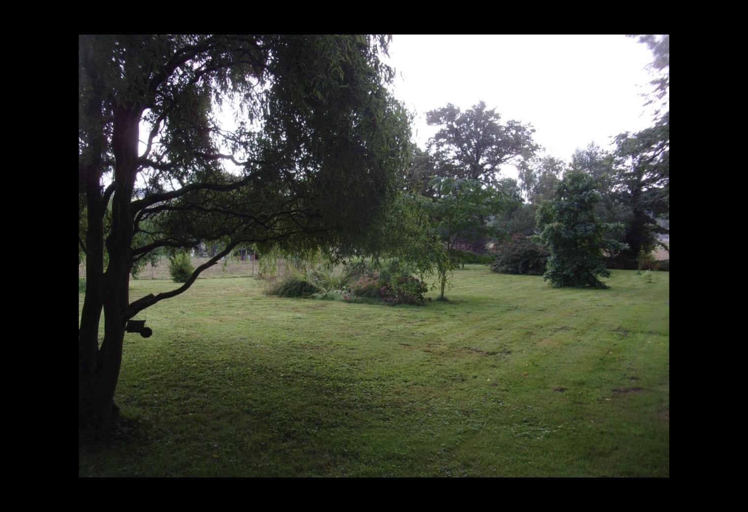 a376db67-9ec0-48c3-9824-5f02ff3820db.jpg