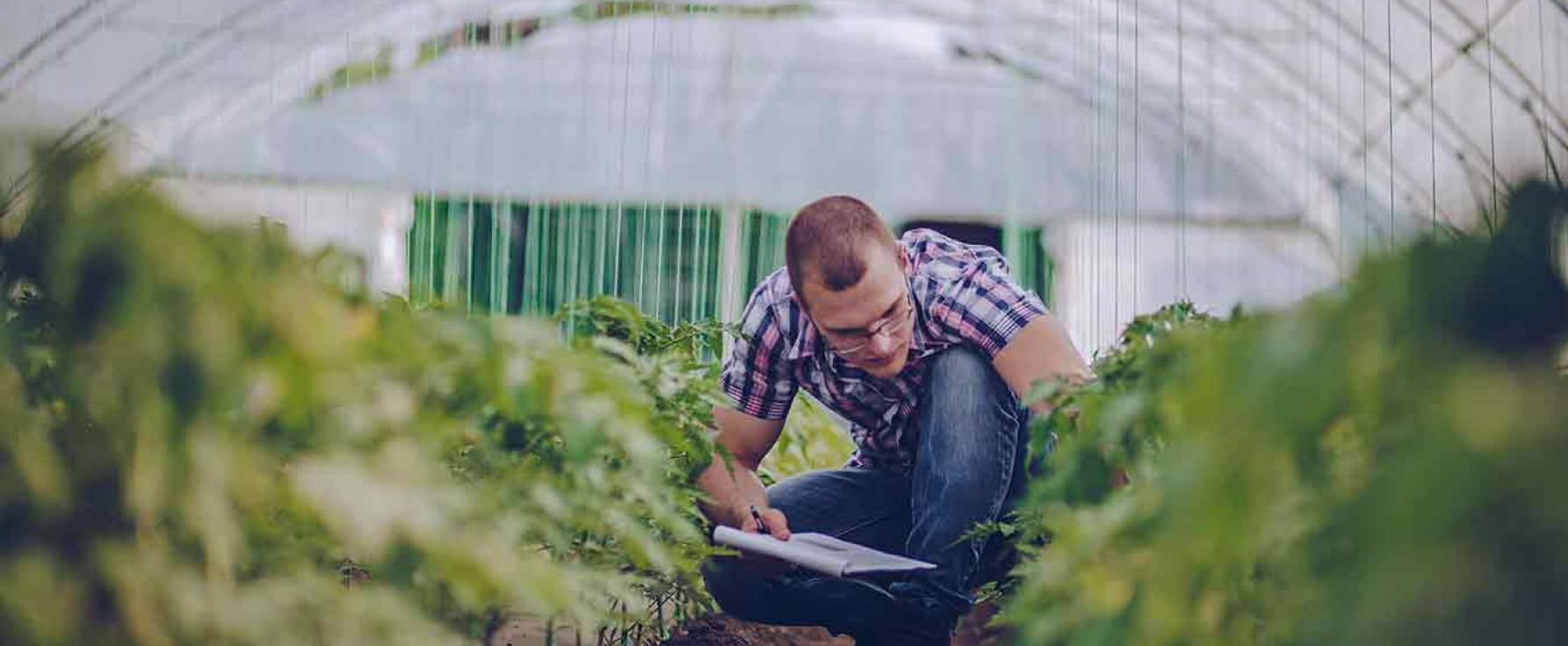 Entreprise agricole