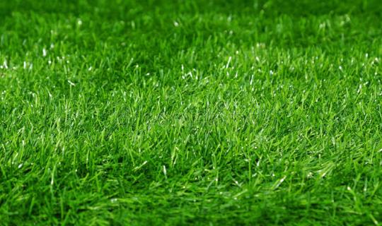 PLOUHINEC- terrain agricole de 1100 m2