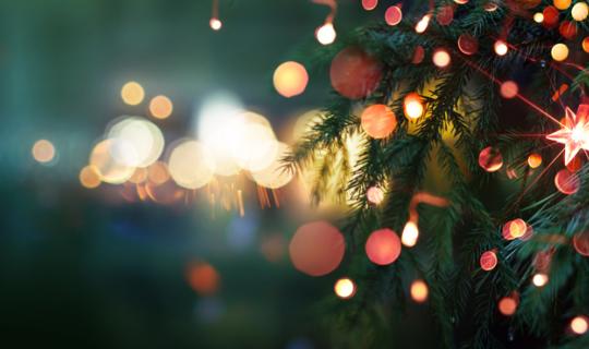 collecte noel pole 56 et habitat & humanisme