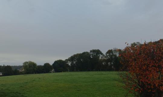 0525e740-af03-4b5c-a17d-bb8991f3e7c8.jpg