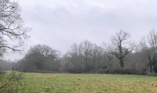 e38bf002-e899-42b5-b516-9afe8db483c4.jpg