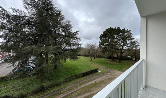dd6880bb-dd88-45a1-86e2-560892ab924a.jpg