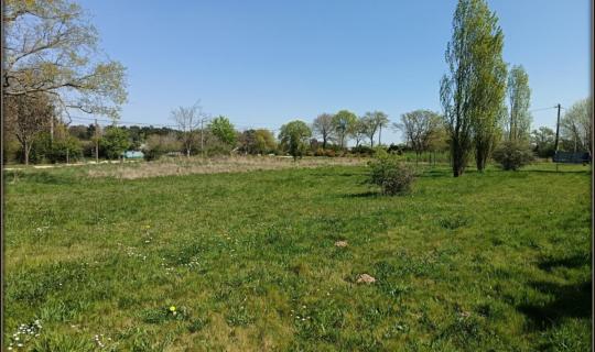f4787e33-dded-42ce-aa22-7bdb599f9de5.jpg