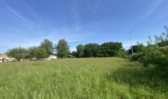 06bf573d-017b-47c9-a3d8-76cf01c36646.jpg