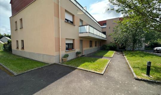 ff530865-e4bc-43e2-917d-31e9a4c84fe2.jpg