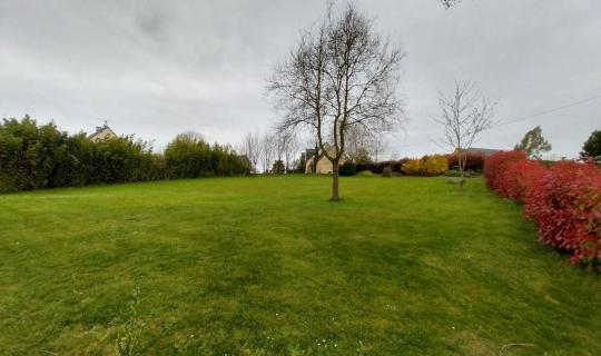 292cc897-d605-42d0-b8c5-32eef71948b1.jpg