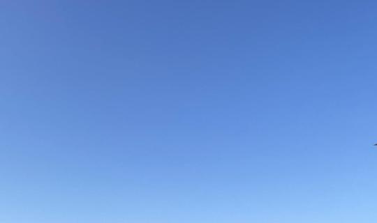 e9420aae-7577-44fc-9fac-4fde6affab2e.jpg