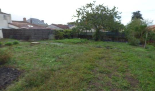 fdb87950-ddaf-4734-8dbc-73df7bb37f39.jpg