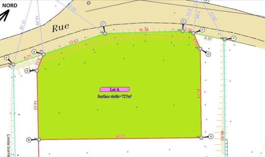 de07ba24-d5bd-43dd-9579-d2c3bd300636.jpg