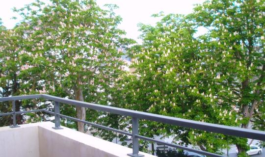 1c137c9e-7d7b-4d56-a097-abd40933bea7.jpg