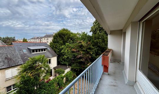 bc9bd489-874e-481c-82e9-b6afb35ef0e0.jpg