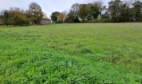 90cc9aba-a27b-4ba8-a505-07303aef7a9f.jpg