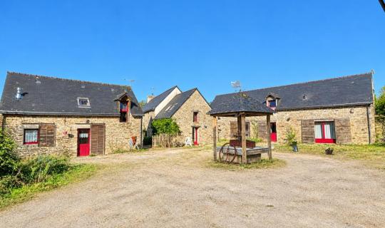 45555938-70d3-43ea-88cf-e9eebd84fe75.jpg