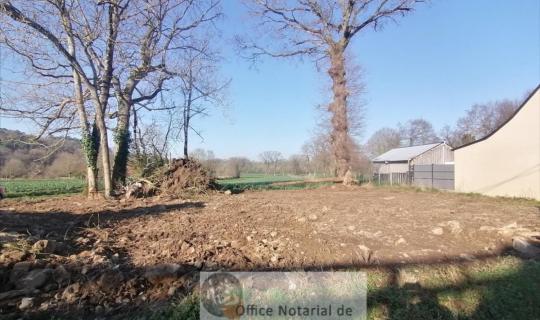 2507ad9c-ede8-4204-bd07-6d01954c880a.jpg