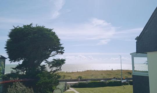 412b0184-22ef-4811-8aff-d24486bbae09.jpg