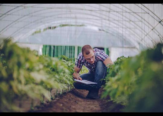 Entreprise agricole