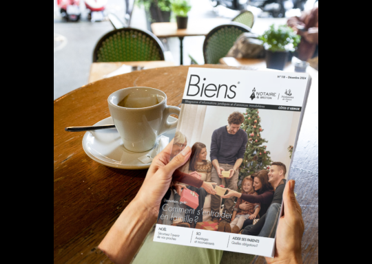 Magazine Biens